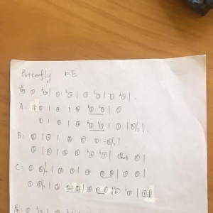《数码宝贝》Butterfly 的主题曲，吉他谱