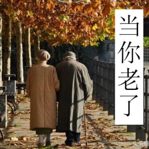 民谣金曲《当你老了》吉他弹唱教学