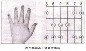 练习​吉他​音阶的重要性！