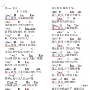 《斑马斑马》简易吉他谱