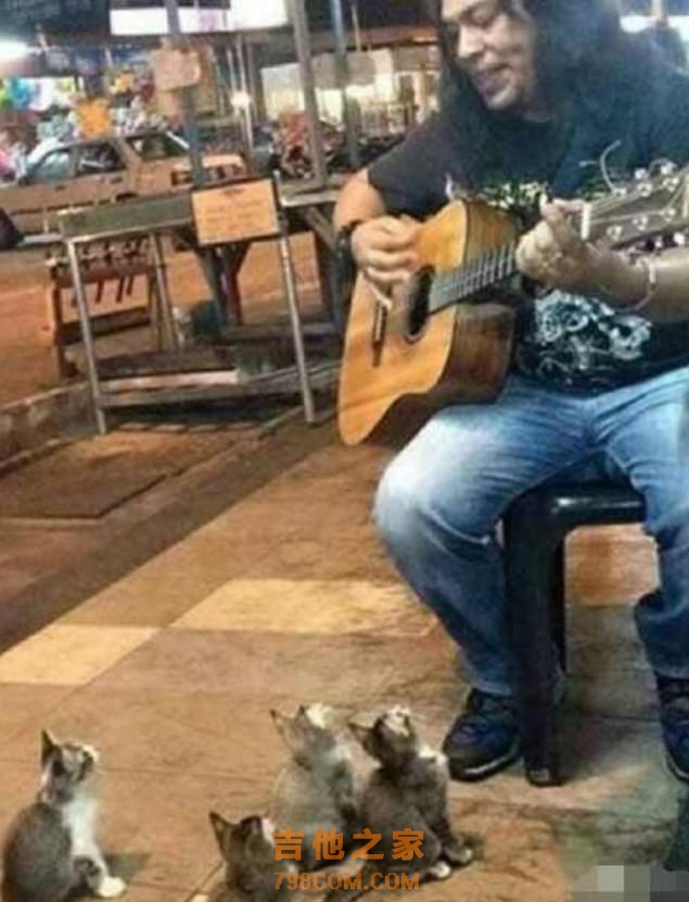 流浪歌手街头弹吉他，猫咪纷纷驻足看表演，路上行人都看呆了！