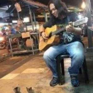 流浪歌手街头弹吉他，猫咪纷纷驻足看表演，路上行人都看呆了！ ...