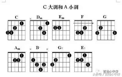 七天吉他入门精品教程