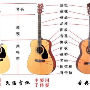 吉他入门小白，如何自学？