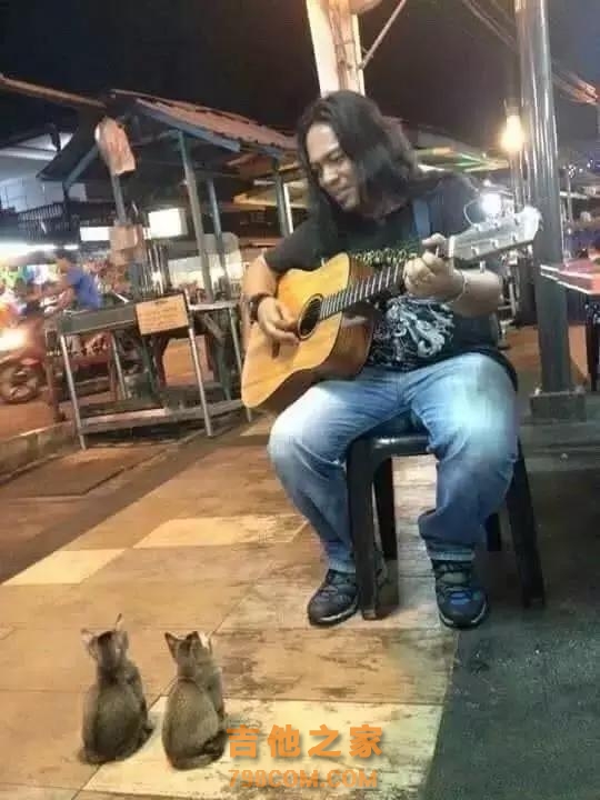 路边歌手弹吉他引4只小猫驻足欣赏，这样也能吸到猫