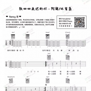 《致姗姗来迟的你》致姗姗来迟的你吉他谱+Nancy吉他教学
