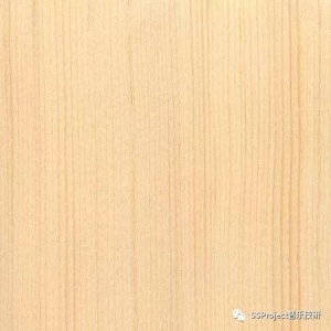 吉他木材深入探究 -常见的木材(一)