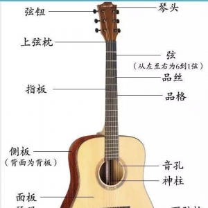 吉他选购和分类想学吉他的看一下，不要被骗