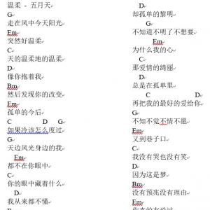 《温柔》简易吉他谱