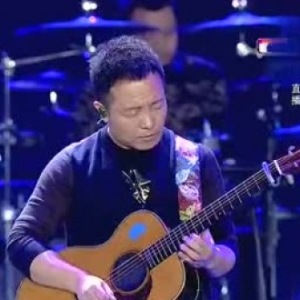许巍经典现场《蓝莲花》＋《故乡》＋《曾经的你》只听吉他solo就值回票价了 ...