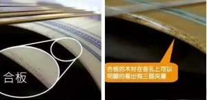 合板琴、面单琴、全单琴，这些琴的区别你真的都了解清楚了吗？ ...