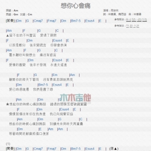 想你心会痛 雨宗林 TXT吉他谱