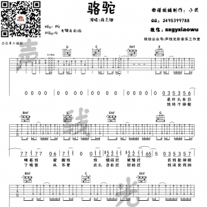 每日有谱:薛之谦《骆驼》吉他谱+弹唱教学视频
