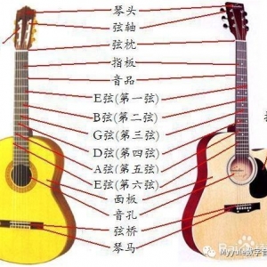 对于吉他你真的了解吗？