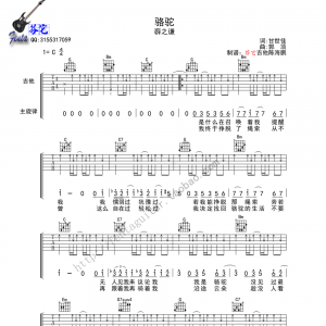 《骆驼》骆驼吉他谱 薛之谦 C调芬它吉他版