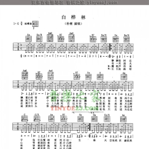 朴树《白桦林》吉他谱