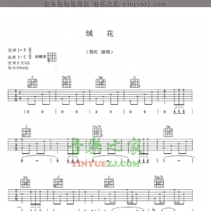 韩红《绒花》吉他谱