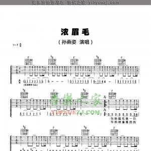 孙燕姿《浓眉毛》吉他谱