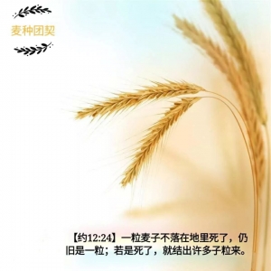《从早晨到夜晚》 吉他篇