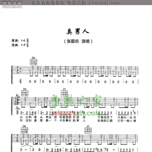 张震岳《臭男人》吉他谱