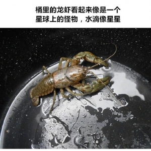 吉他的内部像公寓？网友分享一波在生活中让人产生错觉的画面 ...