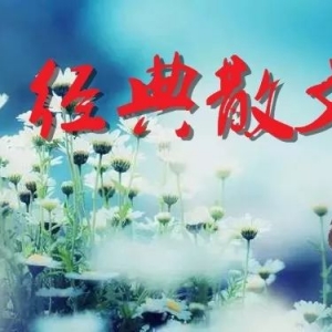经典散文 吉他和歌声