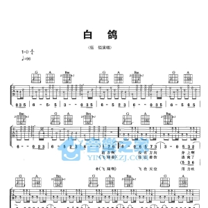 D调版伍佰《白鸽》吉他弹唱六线谱