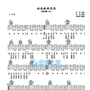D调版伍佰《你是我的花朵》吉他弹唱六线谱