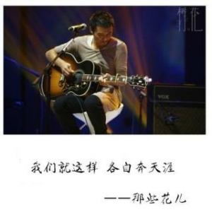 花儿，少年与远方，《那些花儿》吉他弹唱教学