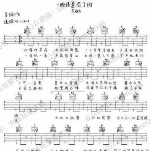 花粥《一腔诗意喂了狗》吉他谱