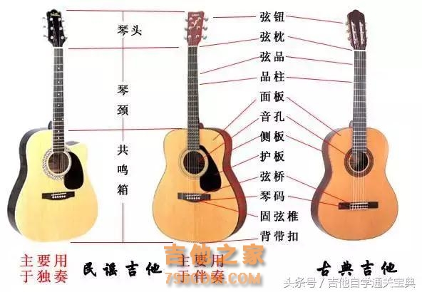 吉他入门小白，如何自学？价值过万的好文章！