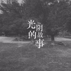 吉他弹唱 | 青春易逝,韶华易老 罗大佑《光阴的故事》 ...