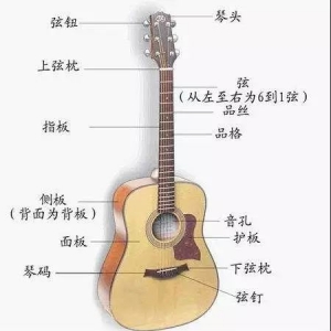 声线光影木吉他初级教学 第一节《认识吉他》睿达老师讲解 ... ...