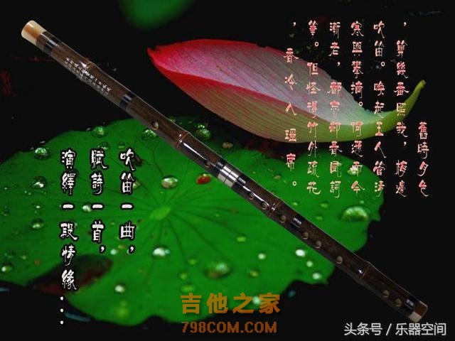 孩子学什么乐器好，先看看8种热门乐器优劣势