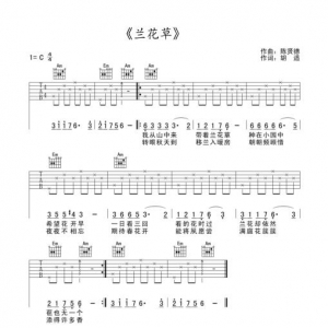 「吉他初学弹唱」十《兰花草》