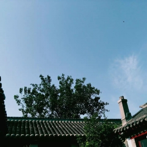 我想你弹吉他的样子