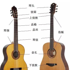 世界上有一种叫吉他的乐器——吉他的结构