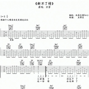【吉他谱】万芳《新不了情》