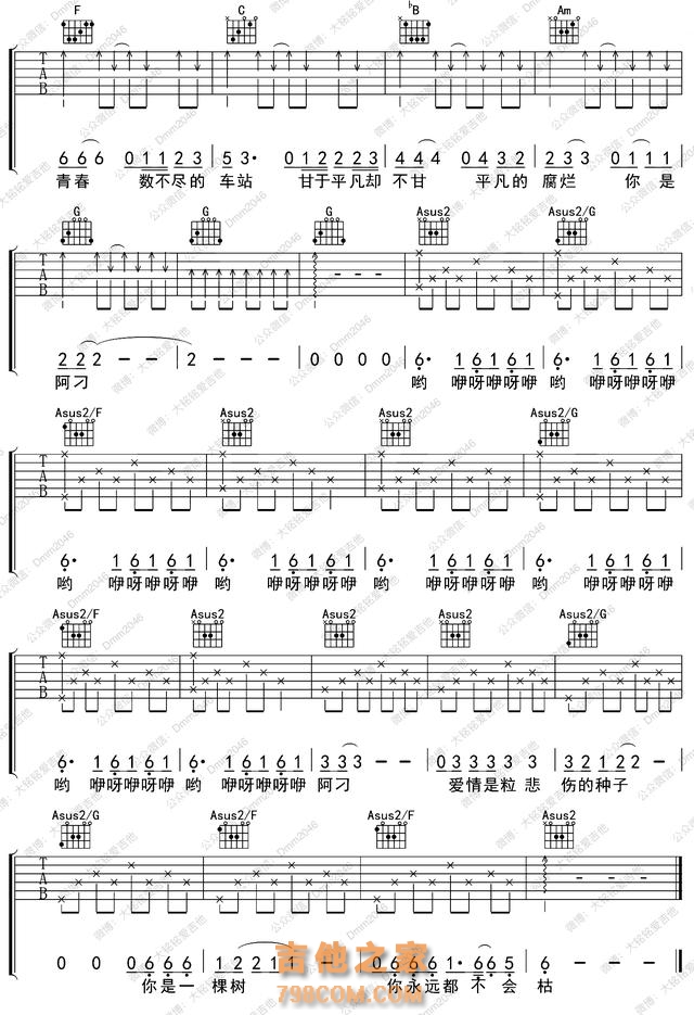 赵雷《阿刁》吉他谱