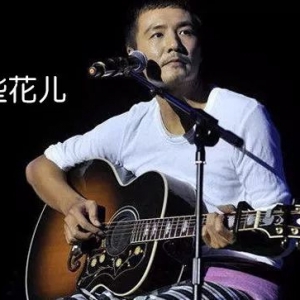 感动了多少人的经典，《那些花儿》吉他弹唱