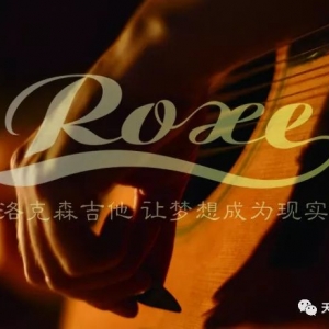 中国制造·精品吉他——ROXE-RA510C