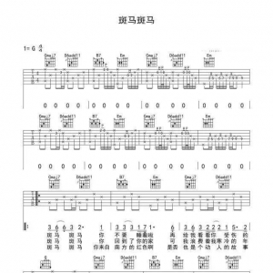 罗先森吉他弹唱教学《斑马斑马》简单完整原版