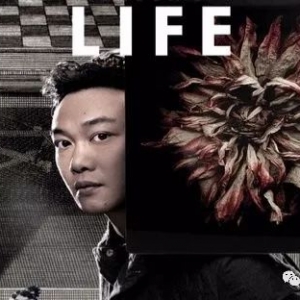 【零一吉他】陈奕迅-红玫瑰 谱例+示范+讲解 赵可爽老师 ...