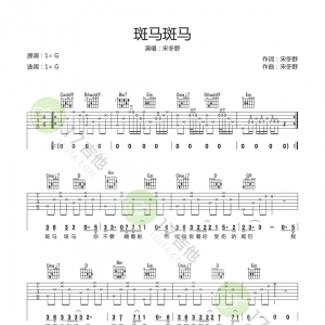 吉他谱--宋冬野《斑马斑马》