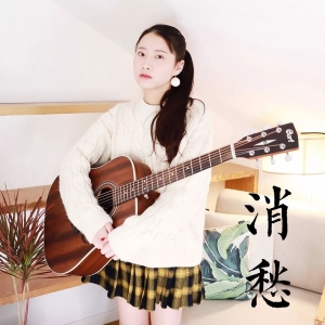 「 消愁 」阿澜吉他教学