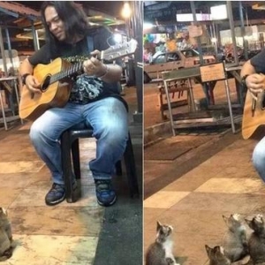流浪歌手弹吉他小猫来捧场