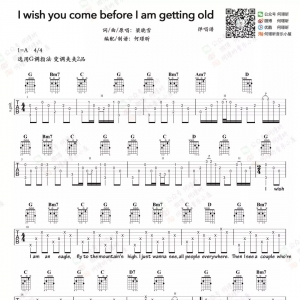 吉他谱 I wish you come before I\'m getting old - 梁晓雪旧文回顾 ...