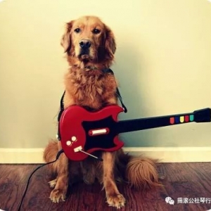 关于学吉他的一些常见问题,你是否也遇到过呢?