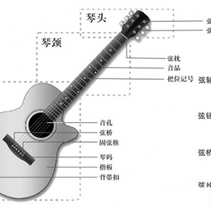 [吉他尺寸怎么选]吉他的尺寸怎么选择