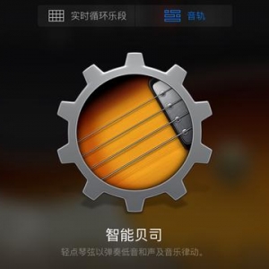 《轻松玩转音乐，你也可以！》贝斯和弦乐篇